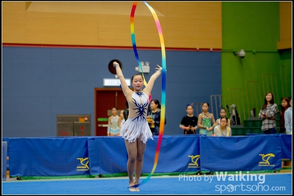 2016-11-20 Ribbon 0082