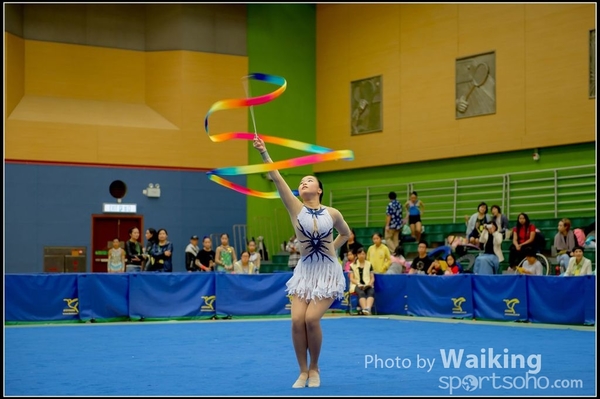2016-11-20 Ribbon 0083
