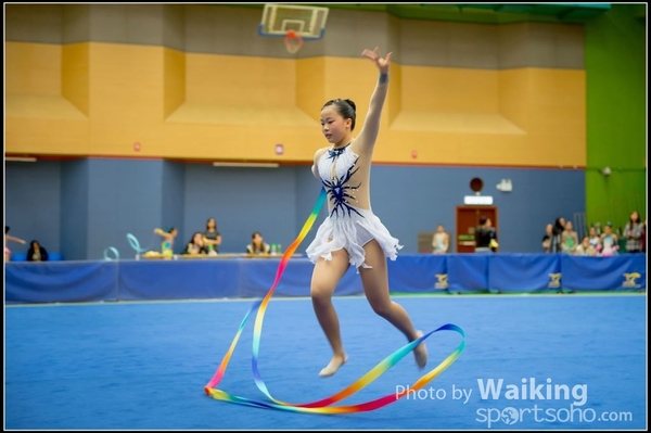 2016-11-20 Ribbon 0088