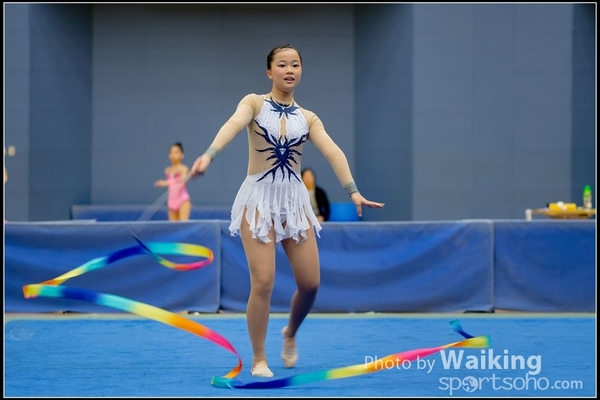2016-11-20 Ribbon 0089