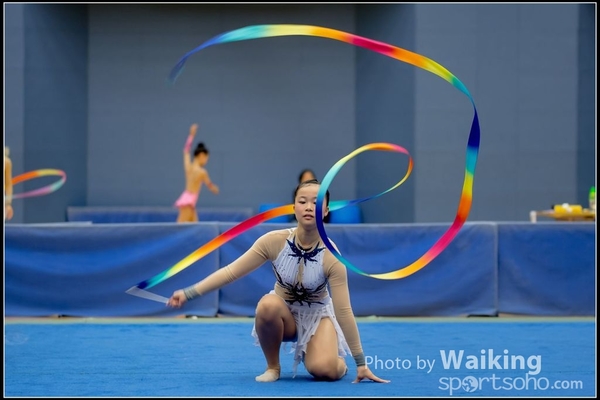 2016-11-20 Ribbon 0090