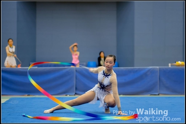 2016-11-20 Ribbon 0091