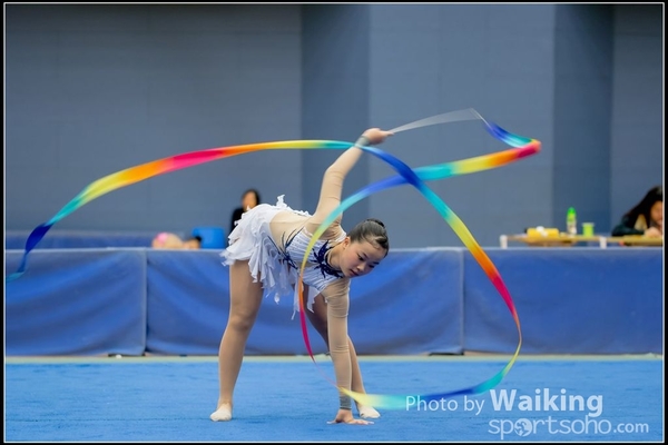 2016-11-20 Ribbon 0092