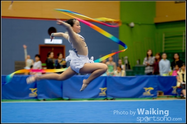 2016-11-20 Ribbon 0093
