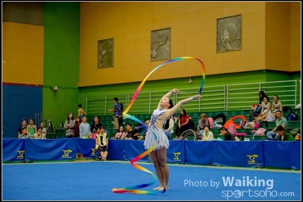 2016-11-20 Ribbon 0094