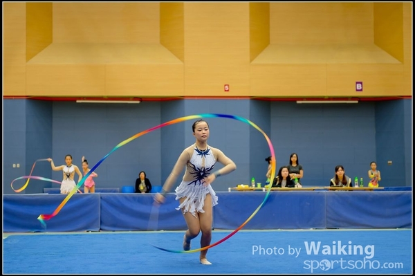 2016-11-20 Ribbon 0096
