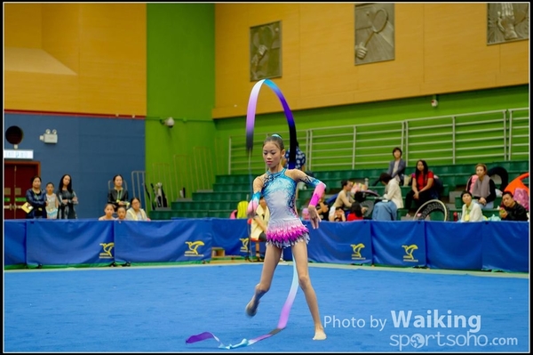 2016-11-20 Ribbon 0102