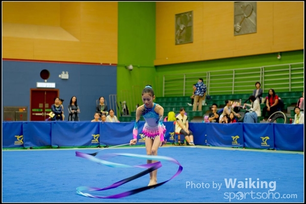 2016-11-20 Ribbon 0103