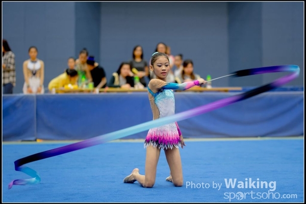 2016-11-20 Ribbon 0110