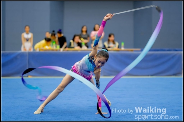 2016-11-20 Ribbon 0112