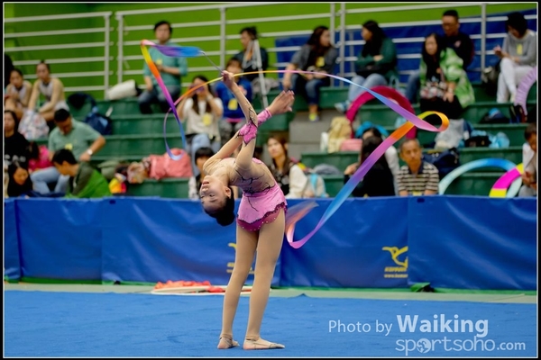 2016-11-20 Ribbon 0128