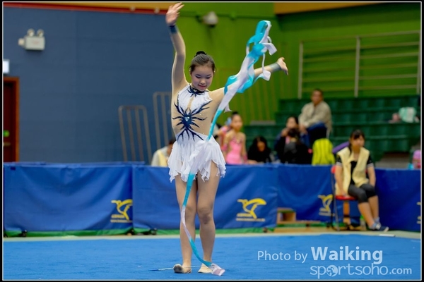 2016-11-20 Ribbon 0133