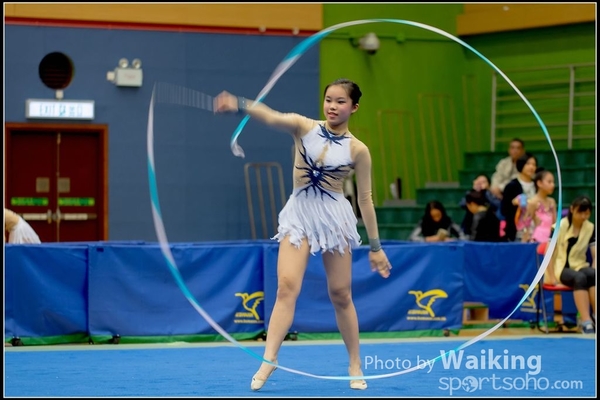 2016-11-20 Ribbon 0134