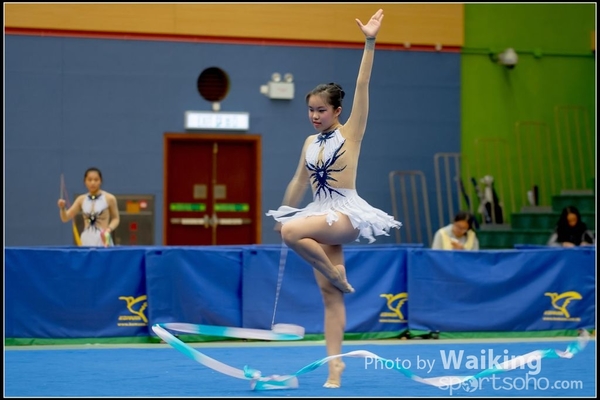 2016-11-20 Ribbon 0135