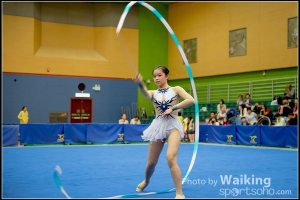 2016-11-20 Ribbon 0138