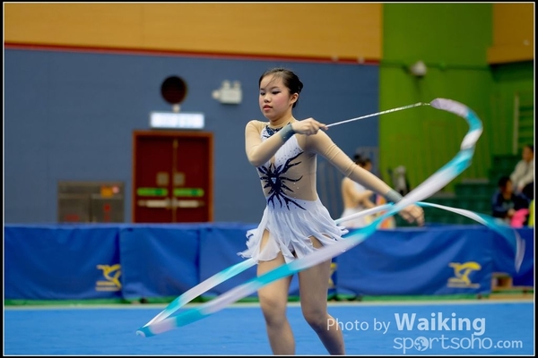 2016-11-20 Ribbon 0141