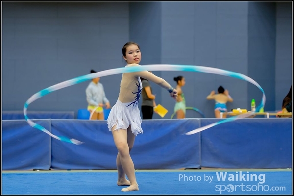 2016-11-20 Ribbon 0143