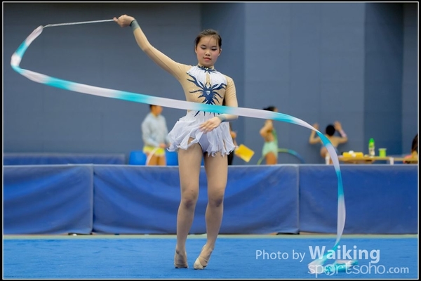 2016-11-20 Ribbon 0144