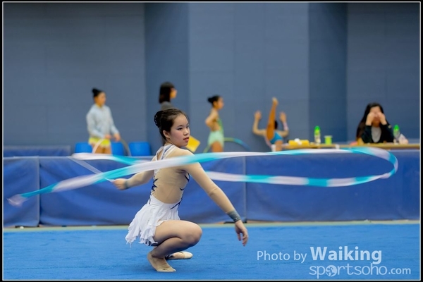 2016-11-20 Ribbon 0145