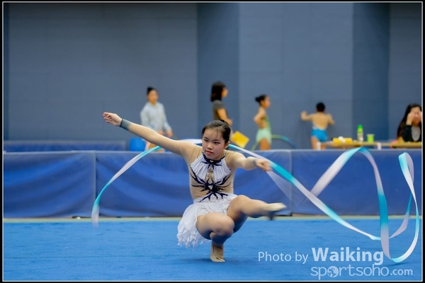 2016-11-20 Ribbon 0146