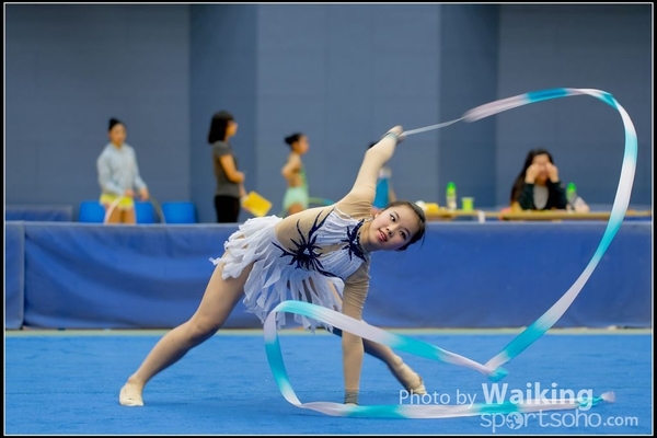 2016-11-20 Ribbon 0147