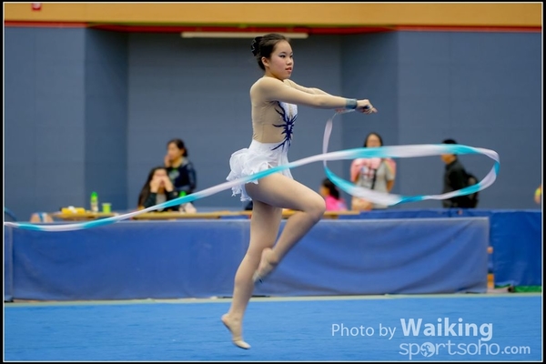 2016-11-20 Ribbon 0148