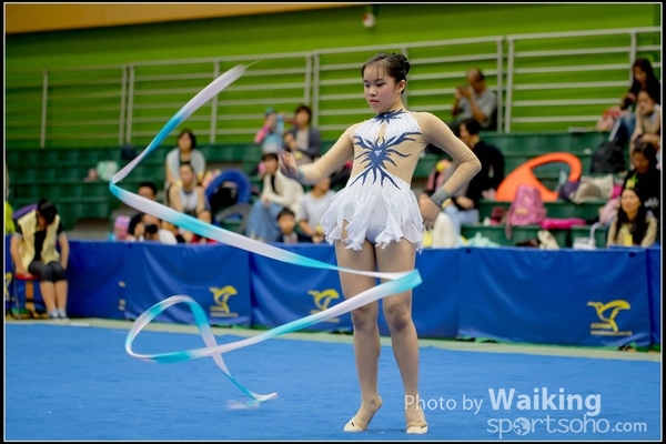 2016-11-20 Ribbon 0149