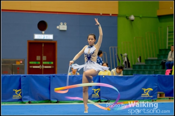 2016-11-20 Ribbon 0155