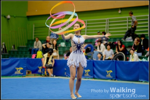 2016-11-20 Ribbon 0158