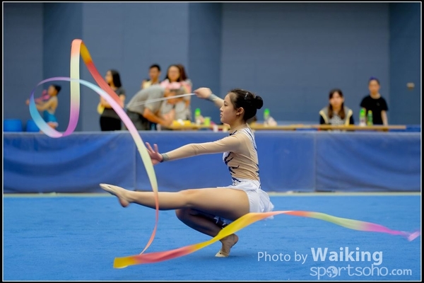 2016-11-20 Ribbon 0166