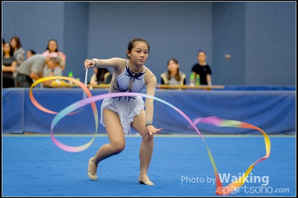 2016-11-20 Ribbon 0167