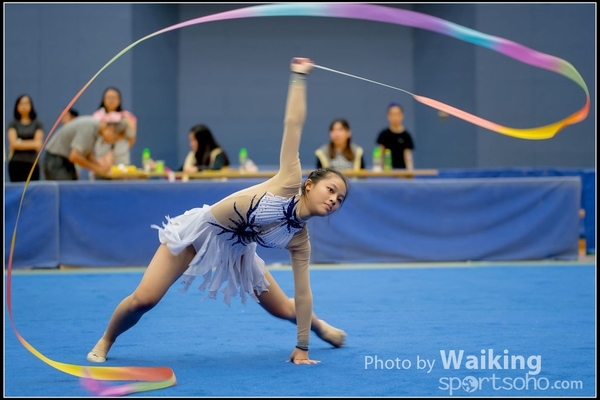 2016-11-20 Ribbon 0168