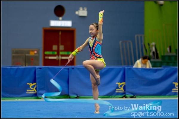 2016-11-20 Ribbon 0172