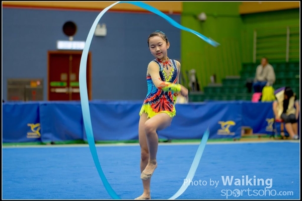 2016-11-20 Ribbon 0177