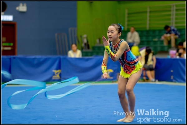 2016-11-20 Ribbon 0179