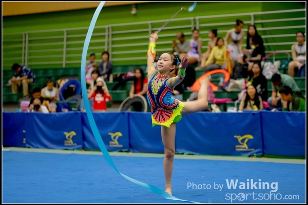 2016-11-20 Ribbon 0180