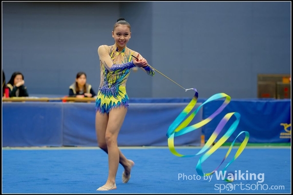 2016-11-20 Ribbon 0193