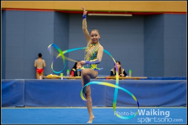 2016-11-20 Ribbon 0201