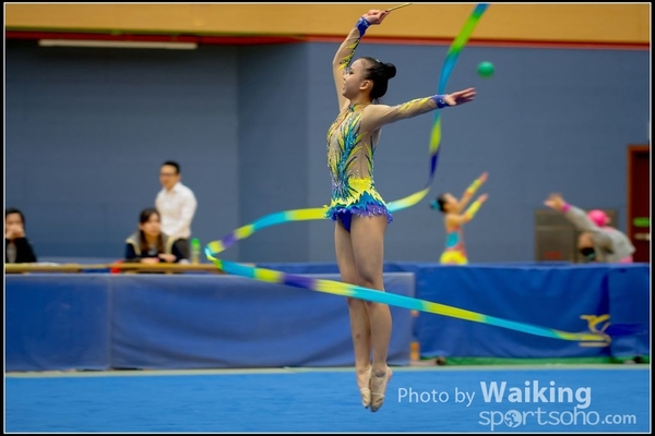2016-11-20 Ribbon 0204