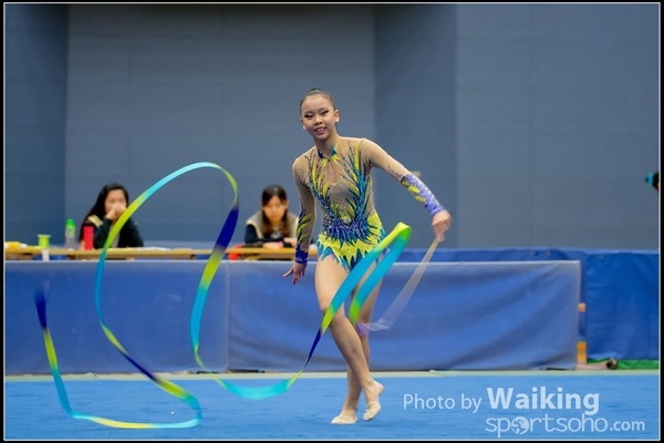 2016-11-20 Ribbon 0206