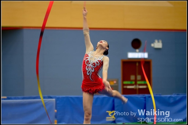 2016-11-20 Ribbon 0215