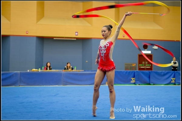 2016-11-20 Ribbon 0217