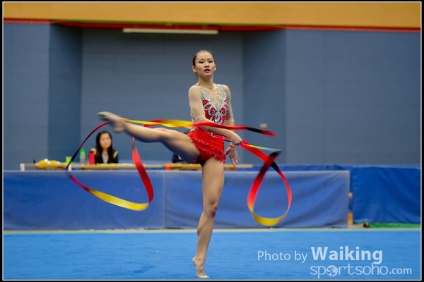 2016-11-20 Ribbon 0231