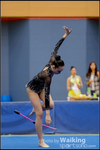 2016-11-20 Sticks 0015
