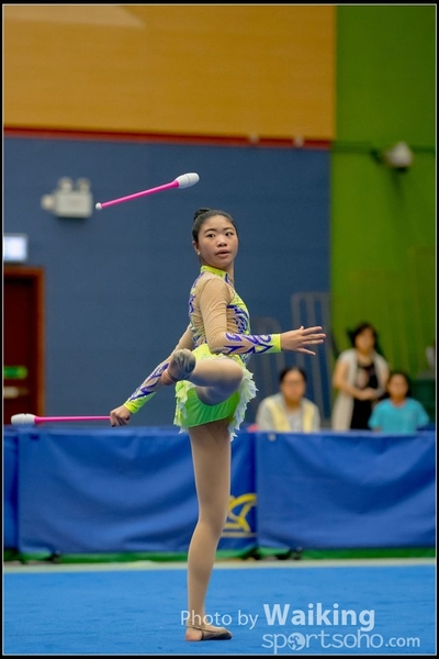 2016-11-20 Sticks 0040