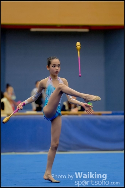 2016-11-20 Sticks 0098
