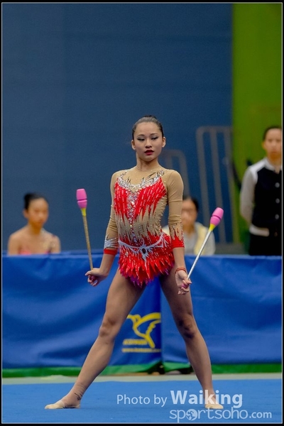 2016-11-20 Sticks 0103