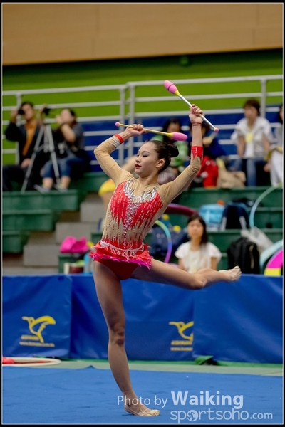 2016-11-20 Sticks 0111