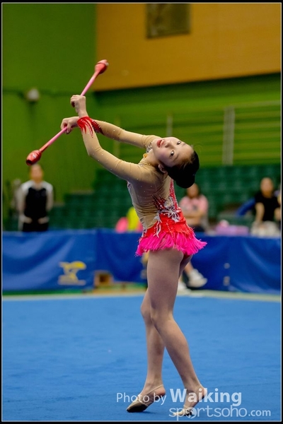 2016-11-20 Sticks 0156