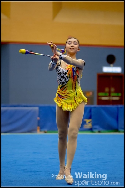 2016-11-20 Sticks 0177